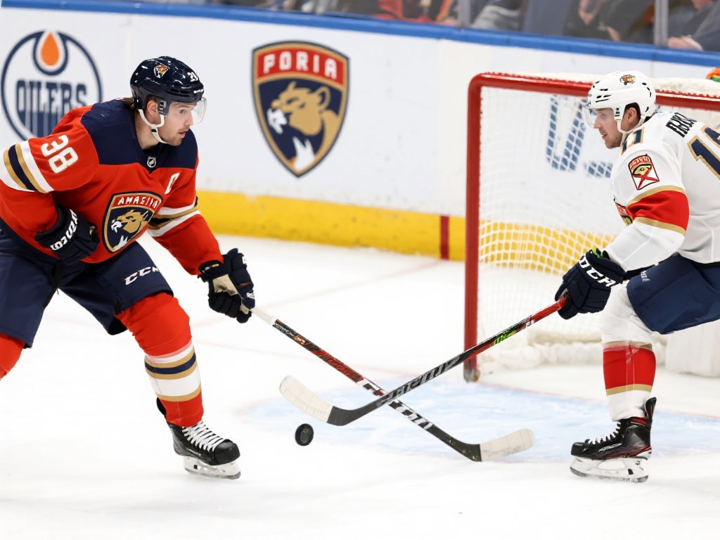 星空体育官方客户端带你实时体验最新体育赛事精彩直播