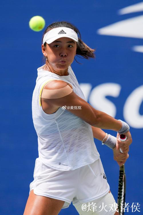 澳网次日袁悦1-2负帕芙柳琴科娃 商竣程因伤退赛 澳网次日袁悦1-2负帕芙柳琴科娃 商竣程因伤退赛